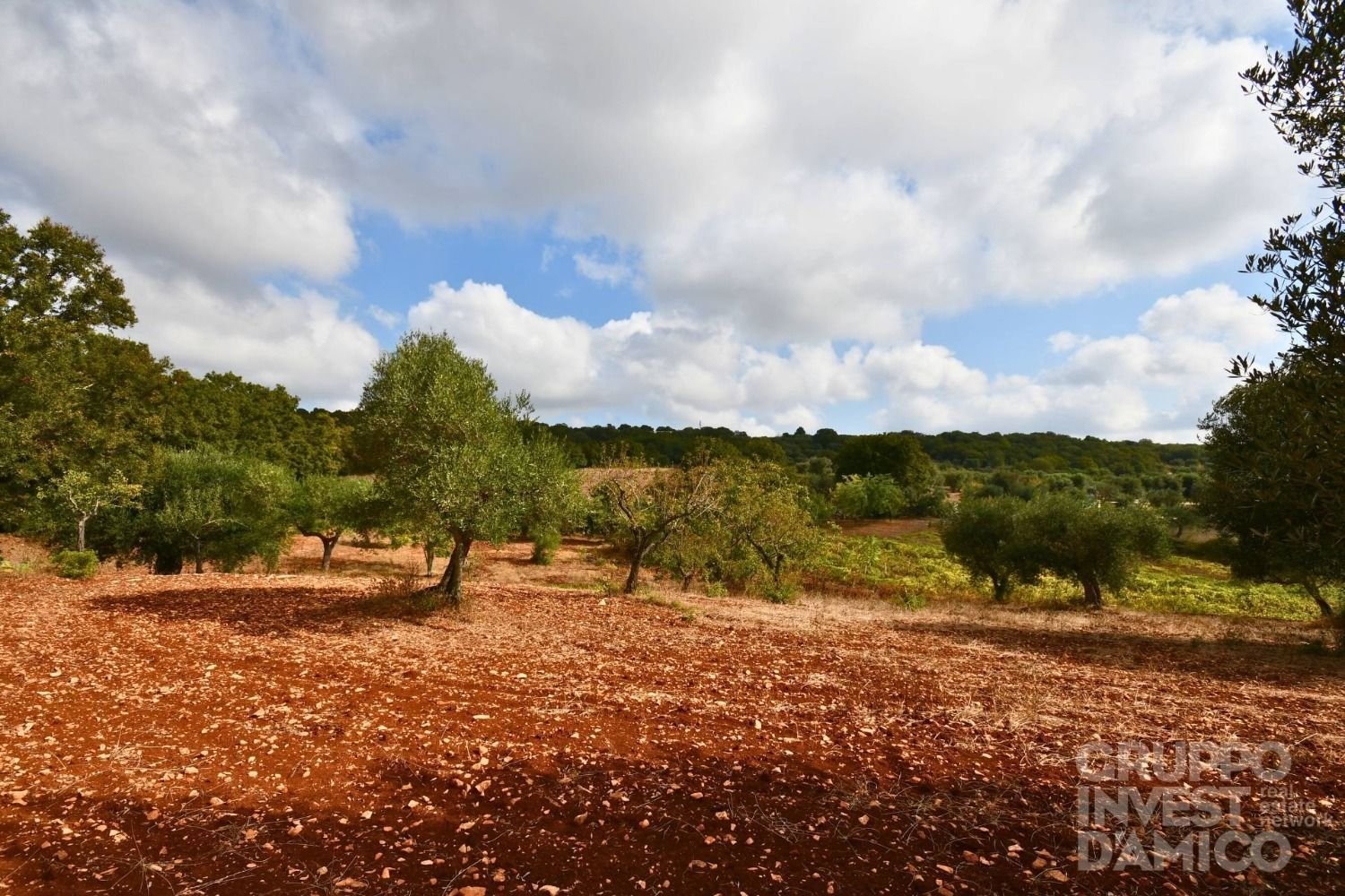  قطعة أرض في Ostuni, Italy 12585متر مربع رقم 176638