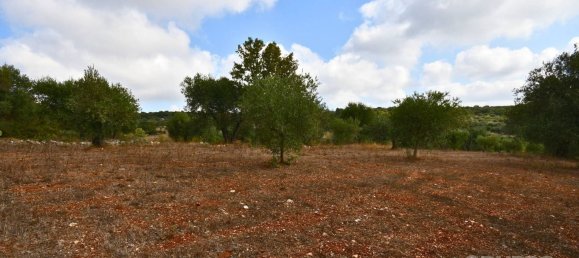  قطعة أرض في Ostuni, Italy 12585متر مربع رقم 176638 4