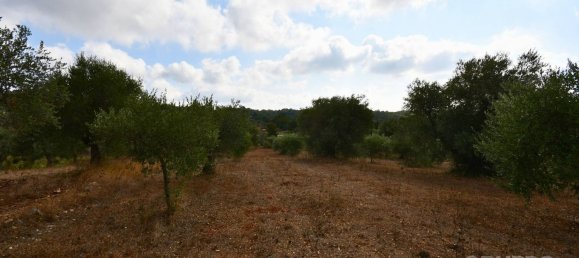  قطعة أرض في Ostuni, Italy 12585متر مربع رقم 176638 3