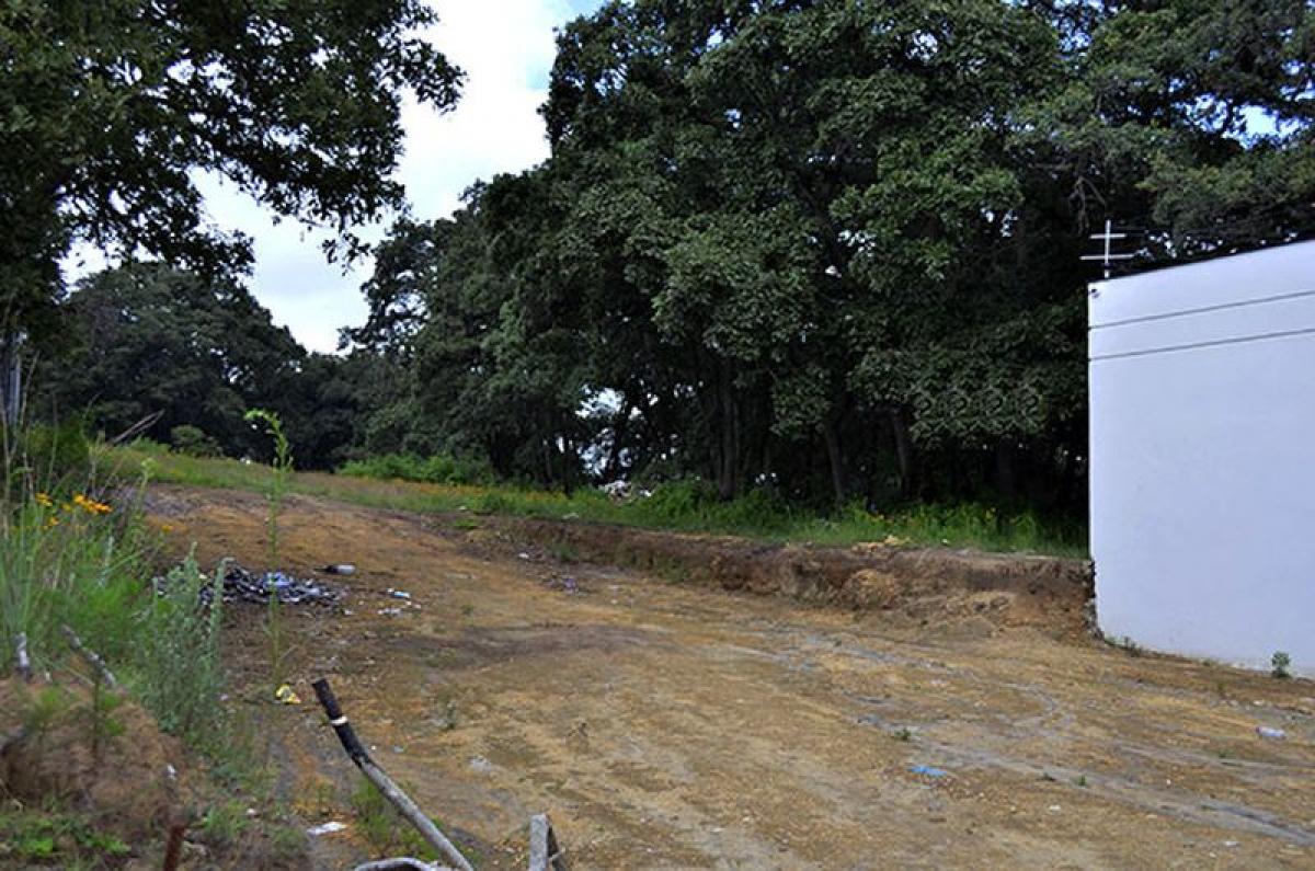  Land in Ciudad Lopez Mateos, Mexico No. 205473