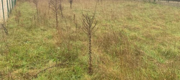  قطعة أرض في Artemare, France رقم 272927 2