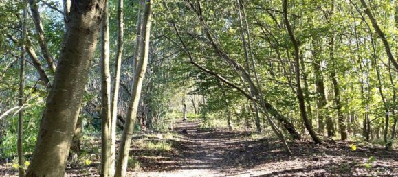 2 غرف نوم تاون هاوس في Emsland, Germany رقم 348447 26