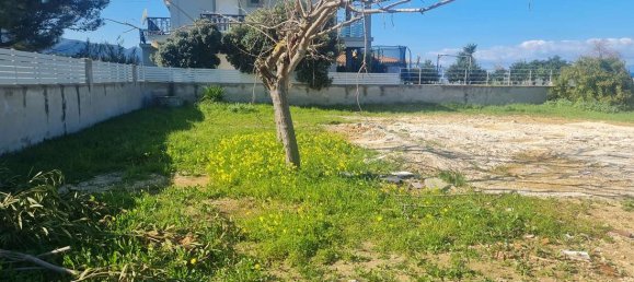  Hotel in Zakynthos, Greece No. 8953 26