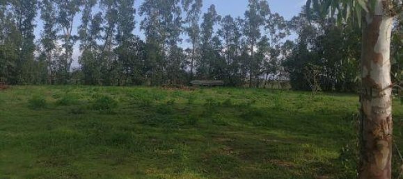 Casa de 10 divisões em Gavorrano, Italy N.º 226654 4