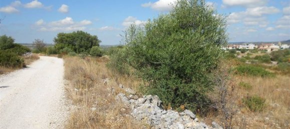 Grundstück in Crispiano, Italy 23139m², Nr. 175418 2