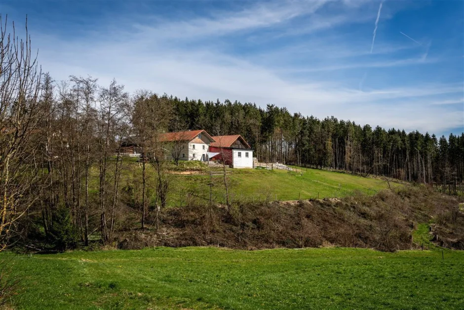 2 bedrooms House in Passau, Germany No. 248782