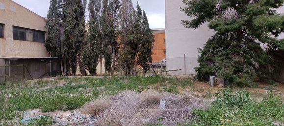  Land in Albatera, Spain No. 160961 6