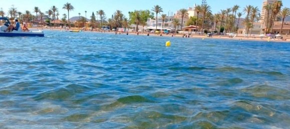 3 bedrooms Villa in Torre-Pacheco, Spain No. 14446 10