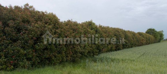 10500m² Land in Inzago, Italy No. 142723 5