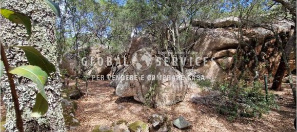 3 bedrooms Villa in Olbia, Italy No. 59831 14