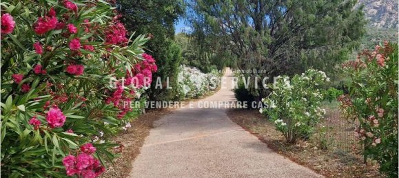 3 bedrooms Villa in Olbia, Italy No. 59831 23
