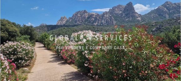 3 bedrooms Villa in Olbia, Italy No. 59831 9