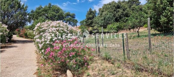 3 bedrooms Villa in Olbia, Italy No. 59831 8