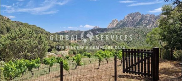 3 bedrooms Villa in Olbia, Italy No. 59831 26