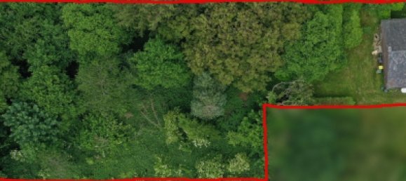 5 bedrooms Farm in Kleve, Germany No. 139185 7