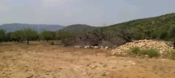  قطعة أرض في Alcalali, Spain 22800متر مربع رقم 135776 19