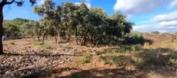  قطعة أرض في Alcalali, Spain 22800متر مربع رقم 135776 11