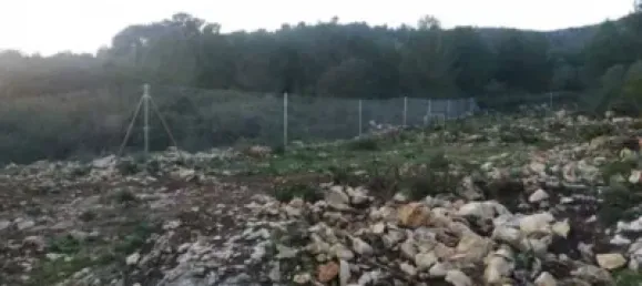  قطعة أرض في Alcalali, Spain 22800متر مربع رقم 135776 16