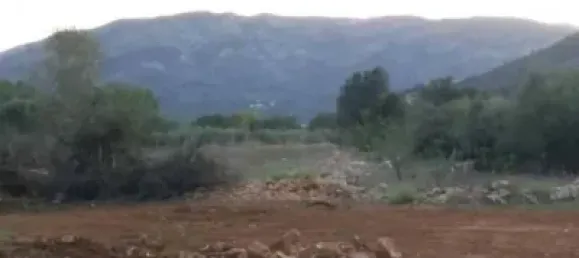  قطعة أرض في Alcalali, Spain 22800متر مربع رقم 135776 7