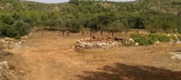  قطعة أرض في Alcalali, Spain 22800متر مربع رقم 135776 18