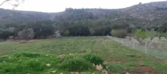  قطعة أرض في Alcalali, Spain 22800متر مربع رقم 135776 14