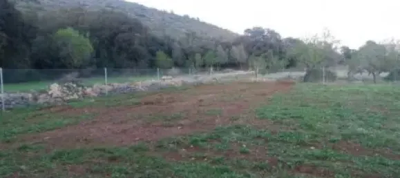  قطعة أرض في Alcalali, Spain 22800متر مربع رقم 135776 15