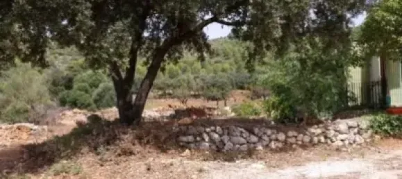  قطعة أرض في Alcalali, Spain 22800متر مربع رقم 135776 4