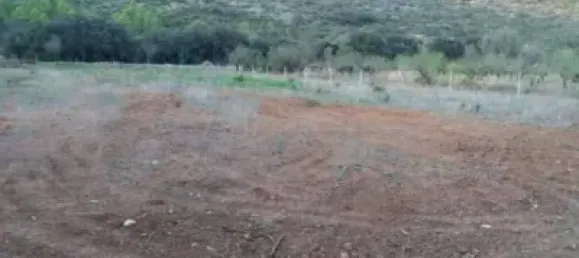  قطعة أرض في Alcalali, Spain 22800متر مربع رقم 135776 5