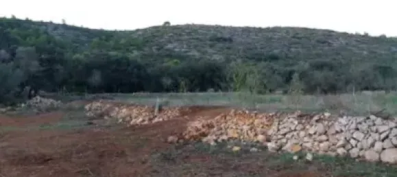  قطعة أرض في Alcalali, Spain 22800متر مربع رقم 135776 6