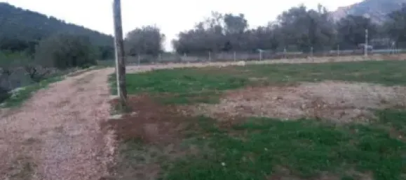  قطعة أرض في Alcalali, Spain 22800متر مربع رقم 135776 13