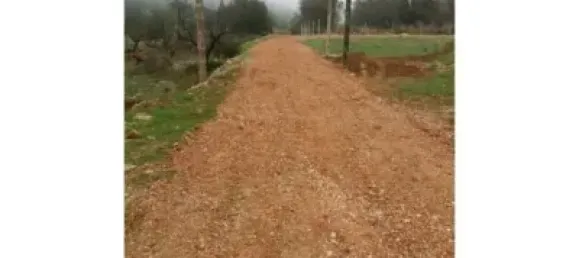  قطعة أرض في Alcalali, Spain 22800متر مربع رقم 135776 8