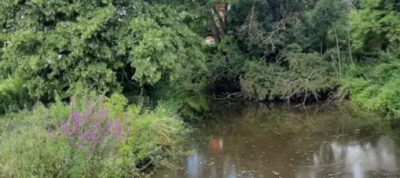 Casa T4 em Erlangen-Hochstadt, Germany N.º 208312 9