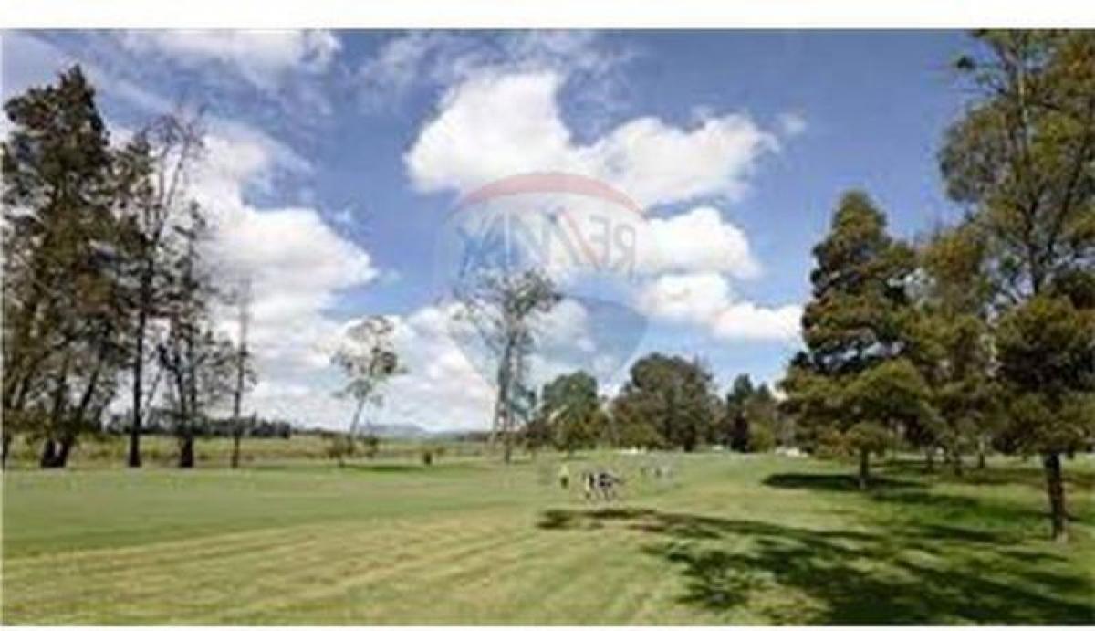 Земельный участок в Хенераль Родригес, Аргентина № 39466