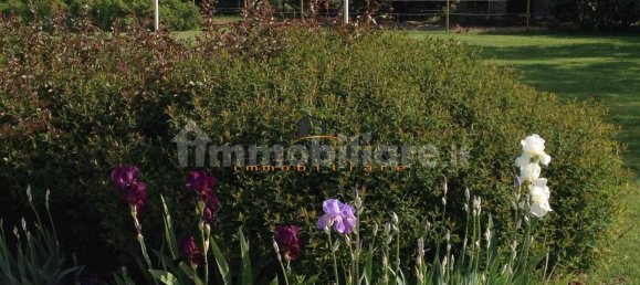 5 bedrooms Villa in Roncade, Italy No. 229520 30