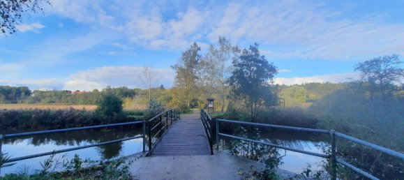 Пентхаус с 1 спальней в Восточный Гольштейн, Германия № 333874 14