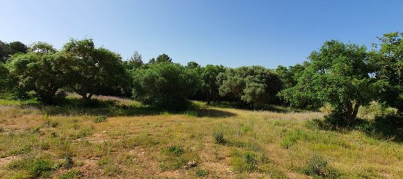  Land in Cadiz, Spain No. 138881 3