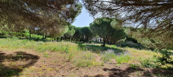  Land in Cadiz, Spain No. 138881 2