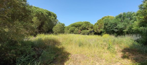  Land in Cadiz, Spain No. 138881 7