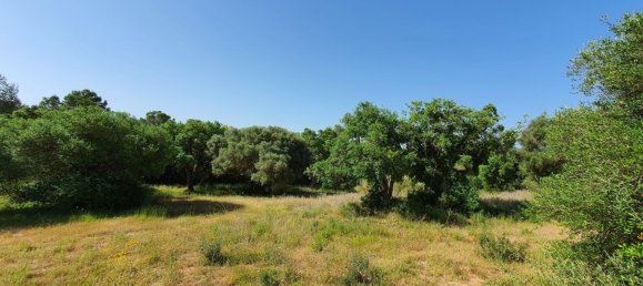  Land in Cadiz, Spain No. 138881 4