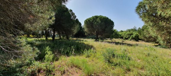  Land in Cadiz, Spain No. 138881 5