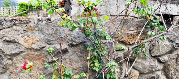 Casa de 6 habitaciónes en Gravere, Italy No. 149959 19