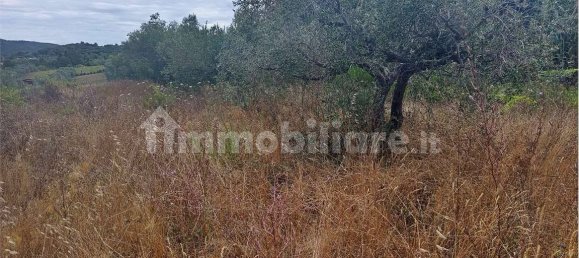 Grundstück in Livorno, Italy 5773m², Nr. 263127 8