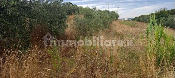 Grundstück in Livorno, Italy 5773m², Nr. 263127 3