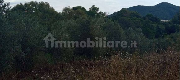 Grundstück in Livorno, Italy 5773m², Nr. 263127 7