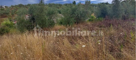 Grundstück in Livorno, Italy 5773m², Nr. 263127 5