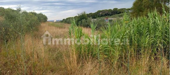 Grundstück in Livorno, Italy 5773m², Nr. 263127 2