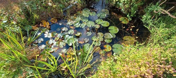 Casa de 4 dormitorios en Friesland, Germany No. 353221 24