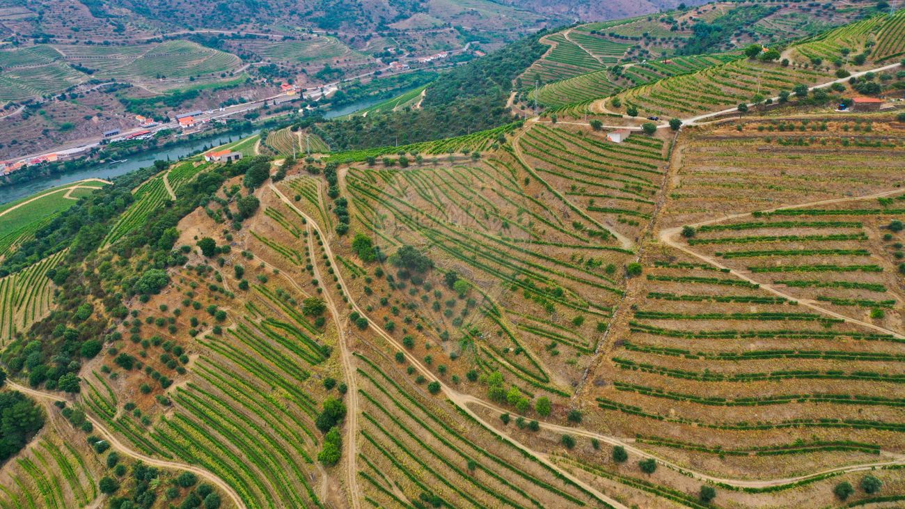  Land in Sao Joao da Pesqueira, Portugal No. 78846