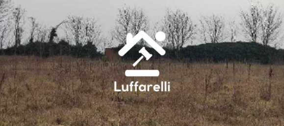 5 rooms Warehouse in Terranova dei Passerini, Italy No. 213993 4