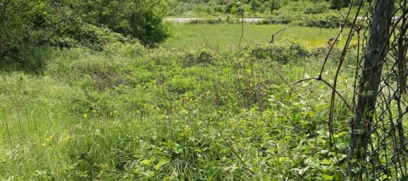 3-salle Maison à Castell'Azzara, Italy No. 79877 3